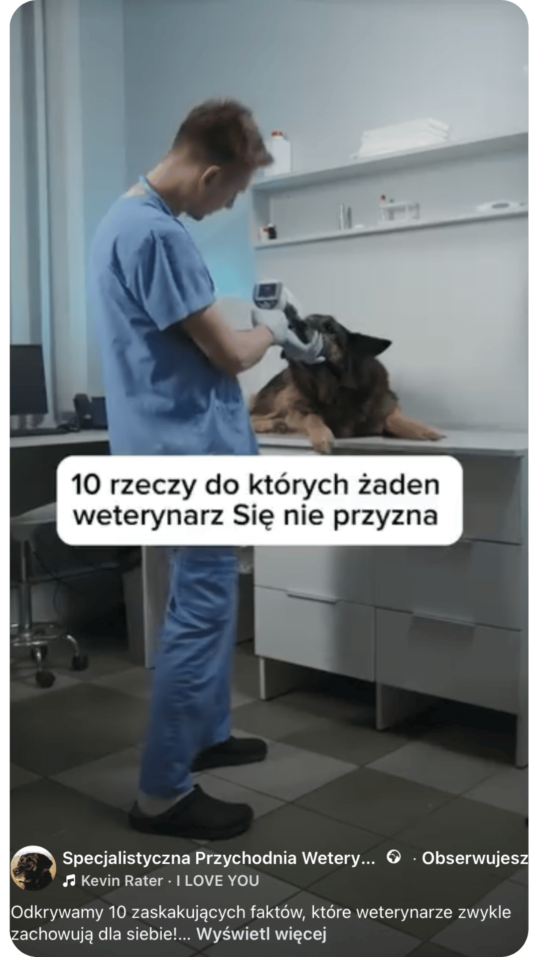 Rolka weterynaryjna ByFive
